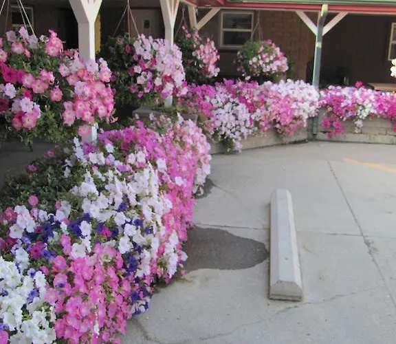 Motel Greybull Motel Greybull