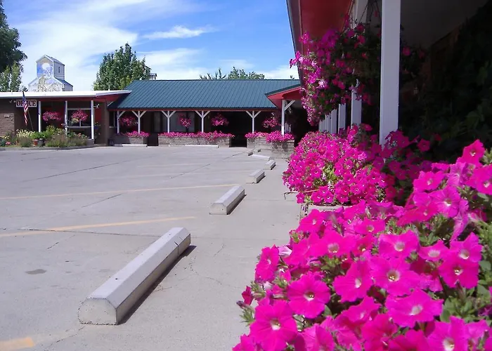 Greybull Motel